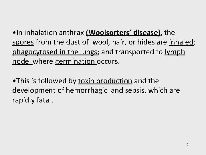  • In inhalation anthrax (Woolsorters’ disease), the spores from the dust of wool,