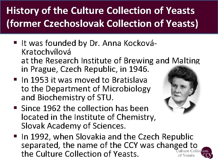 History of the Culture Collection of Yeasts (former Czechoslovak Collection of Yeasts) § It
