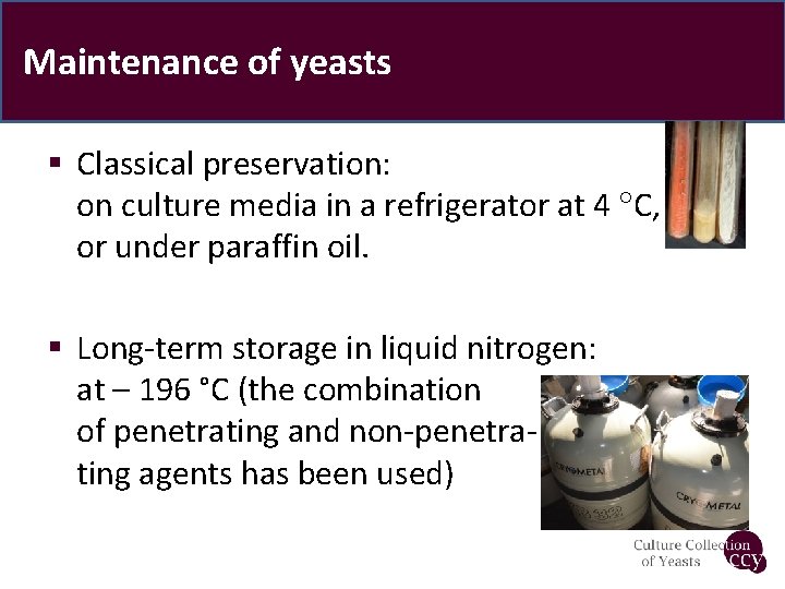 Maintenance of yeasts § Classical preservation: on culture media in a refrigerator at 4