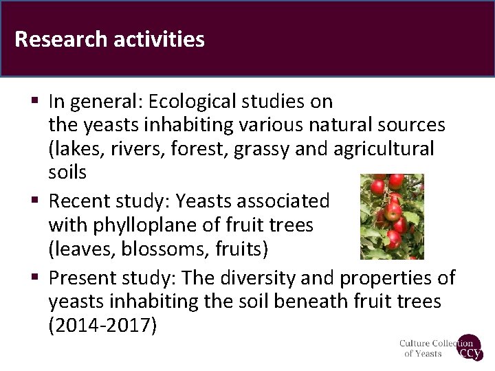 Research activities § In general: Ecological studies on the yeasts inhabiting various natural sources