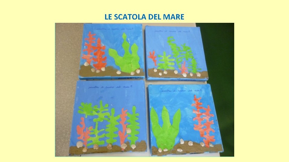 LE SCATOLA DEL MARE 
