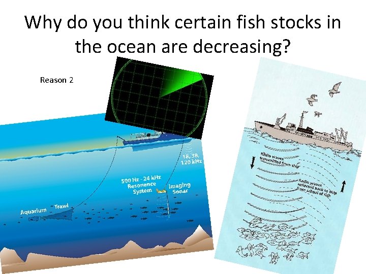 Why do you think certain fish stocks in the ocean are decreasing? Reason 2