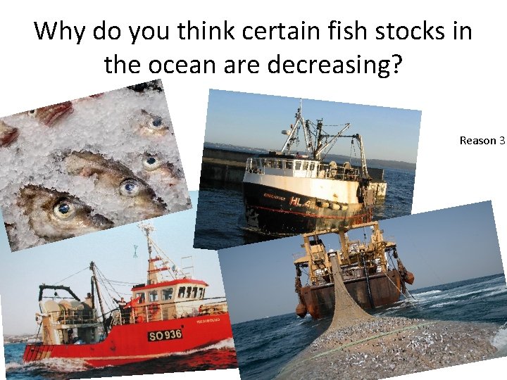 Why do you think certain fish stocks in the ocean are decreasing? Reason 3