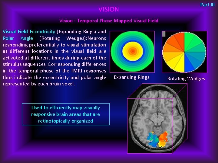 VISION Part III Vision - Temporal Phase Mapped Visual Field Eccentricity (Expanding Rings) and