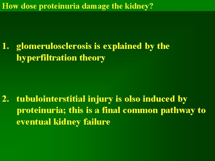 How dose proteinuria damage the kidney? 1. glomerulosclerosis is explained by the hyperfiltration theory