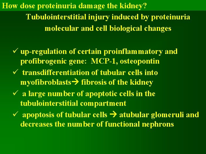 How dose proteinuria damage the kidney? Tubulointerstitial injury induced by proteinuria molecular and cell