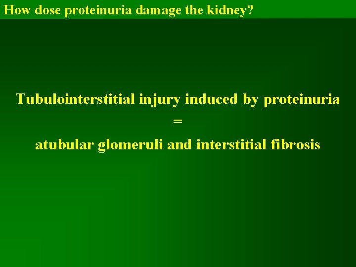 How dose proteinuria damage the kidney? Tubulointerstitial injury induced by proteinuria = atubular glomeruli