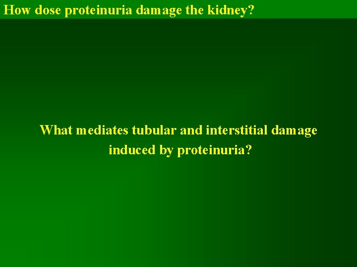 How dose proteinuria damage the kidney? What mediates tubular and interstitial damage induced by