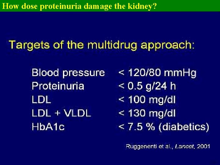 How dose proteinuria damage the kidney? 