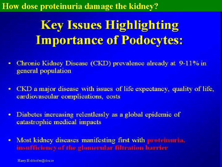 How dose proteinuria damage the kidney? 