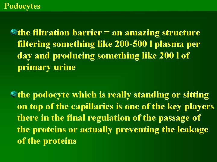 Podocytes the filtration barrier = an amazing structure filtering something like 200 -500 l