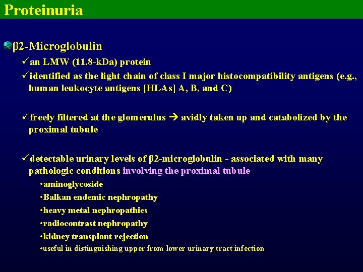 Proteinuria β 2 -Microglobulin üan LMW (11. 8 -k. Da) protein üidentified as the