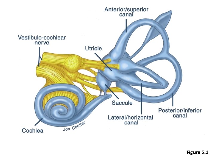 Figure 5. 1 