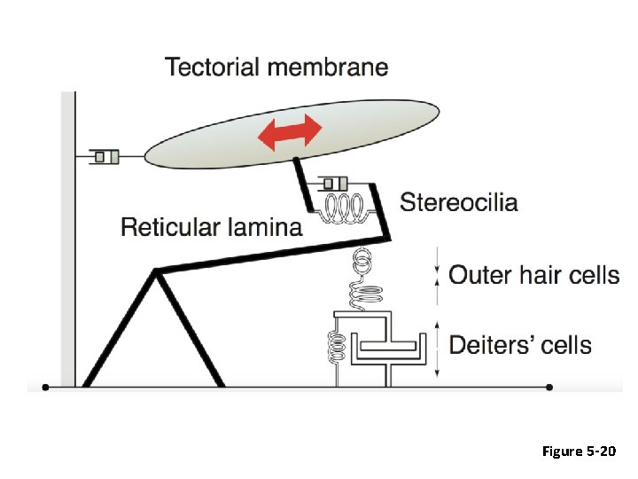 Figure 5 -20 