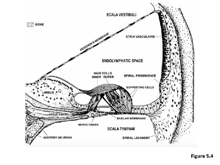 Figure 5. 4 