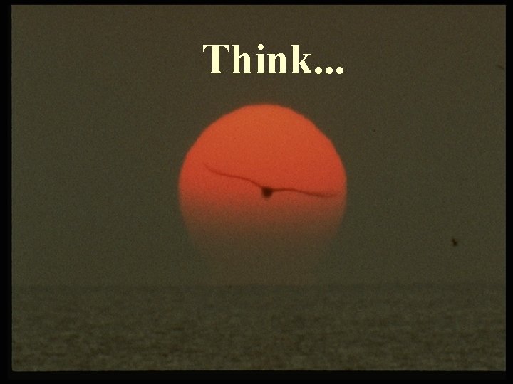 Think. . . Think. . .