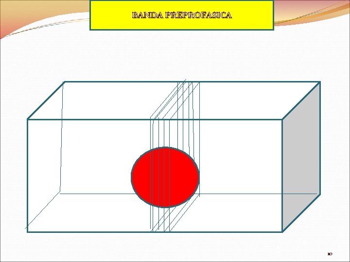 BANDA PREPROFASICA 10 