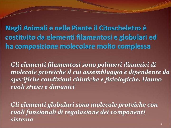 Negli Animali e nelle Piante il Citoscheletro è costituito da elementi filamentosi e globulari