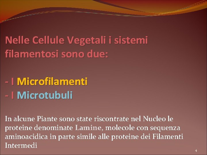 Nelle Cellule Vegetali i sistemi filamentosi sono due: - I Microfilamenti - I Microtubuli