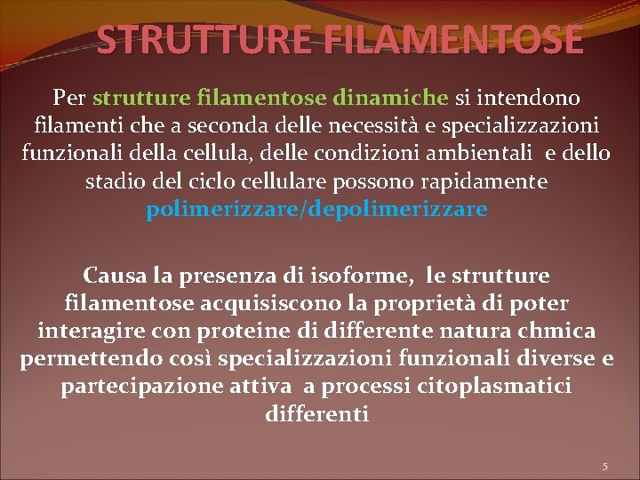 STRUTTURE FILAMENTOSE Per strutture filamentose dinamiche si intendono filamenti che a seconda delle necessità