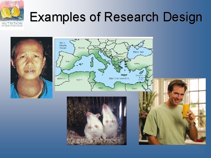 Examples of Research Design Examples of Research Design