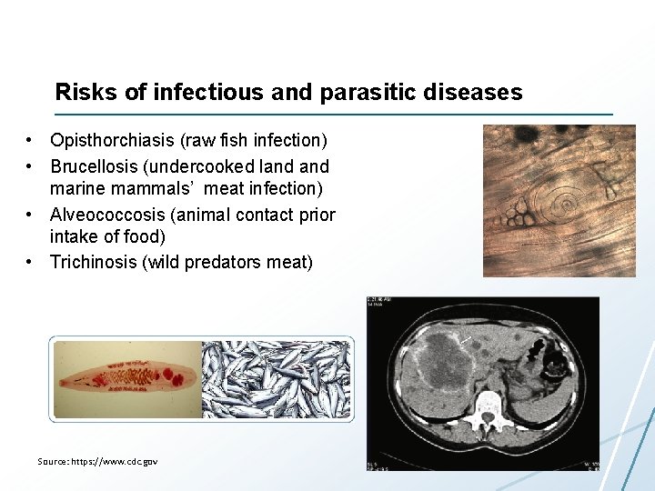 Risks of infectious and parasitic diseases • Opisthorchiasis (raw fish infection) • Brucellosis (undercooked