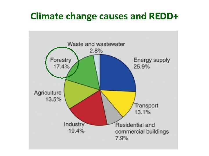 Climate change causes and REDD+ 