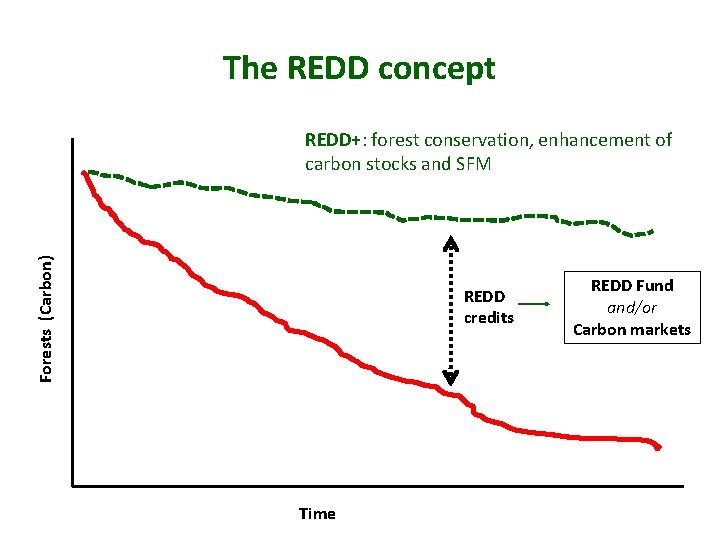 The REDD concept Forests (Carbon) REDD+: forest conservation, enhancement of carbon stocks and SFM