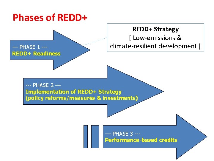 Phases of REDD+ --- PHASE 1 --REDD+ Readiness REDD+ Strategy [ Low-emissions & climate-resilient