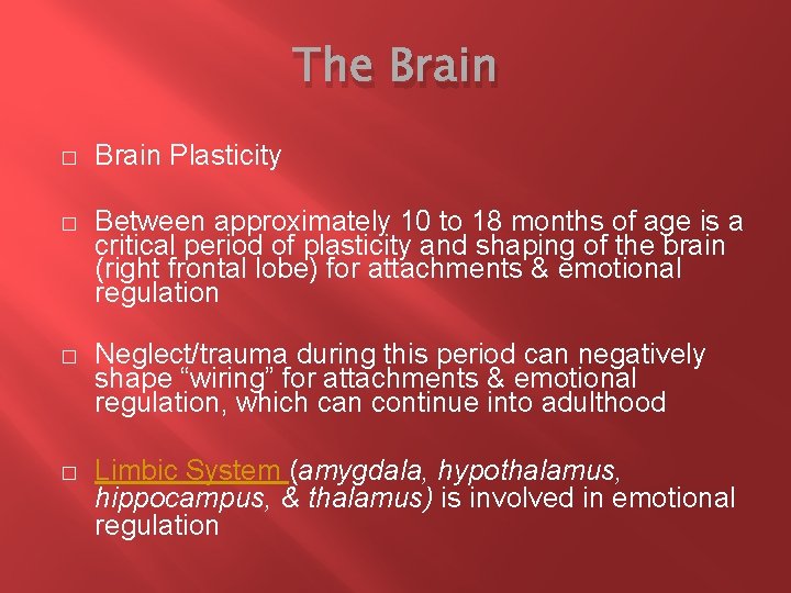The Brain � Brain Plasticity � Between approximately 10 to 18 months of age