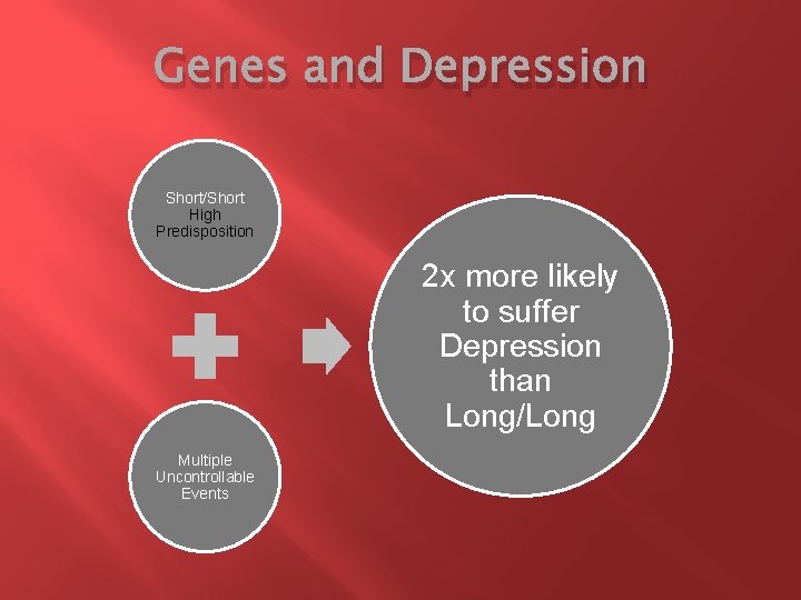 Genes and Depression Short/Short High Predisposition 2 x more likely to suffer Depression than