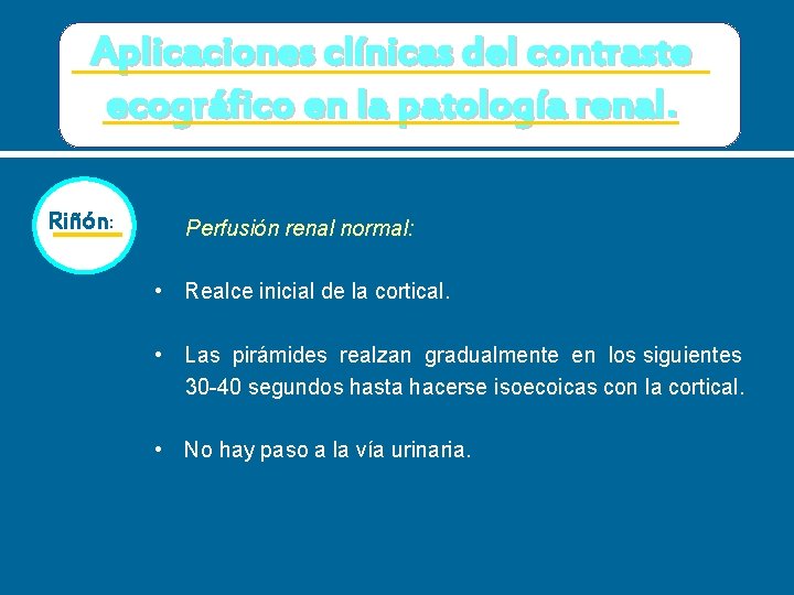 Aplicaciones clínicas del contraste ecográfico en la patología renal. Riñón: Perfusión renal normal: •