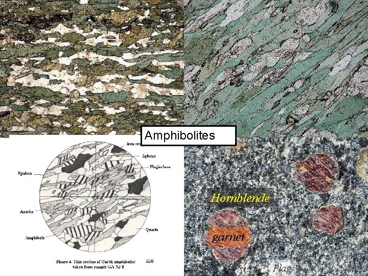 Amphibolites Hornblende garnet Plag 