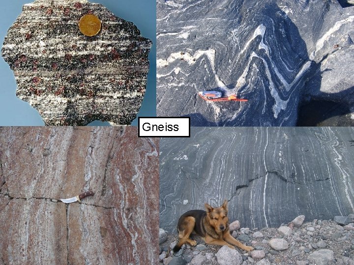 Gneiss 