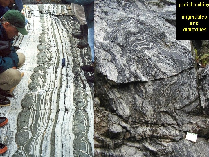 partial melting migmatites and diatextites 