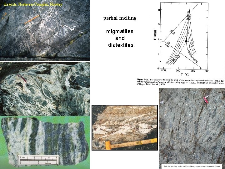 diatexite, Hortavaer Complex, Norway partial melting migmatites and diatextites 