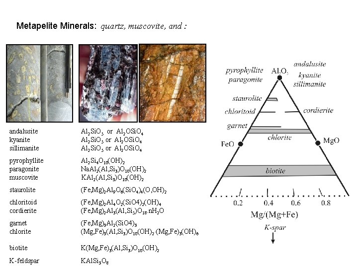 Metapelite Minerals: quartz, muscovite, and : andalusite kyanite sillimanite Al 2 Si. O 5