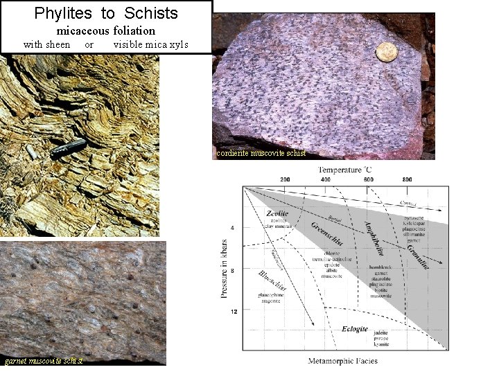 Phylites to Schists micaceous foliation with sheen or visible mica xyls cordierite muscovite schist