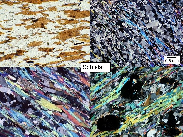 Schists 