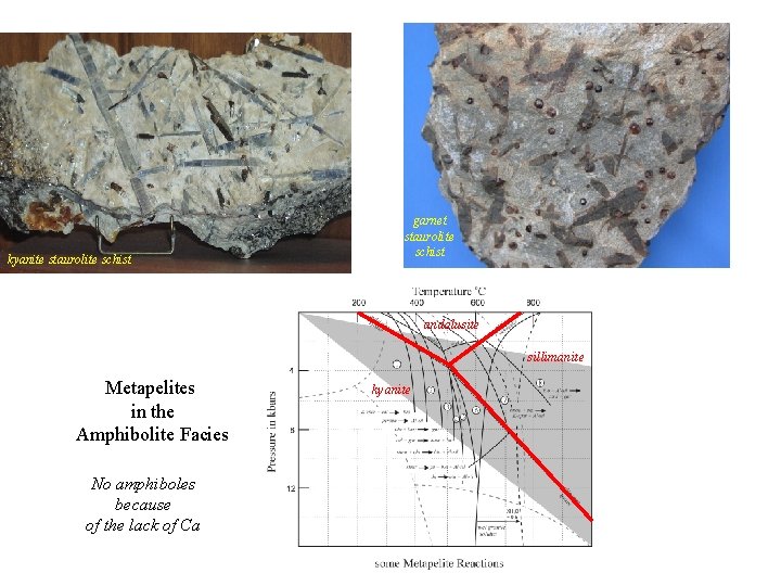 kyanite staurolite schist garnet staurolite schist andalusite sillimanite Metapelites in the Amphibolite Facies No