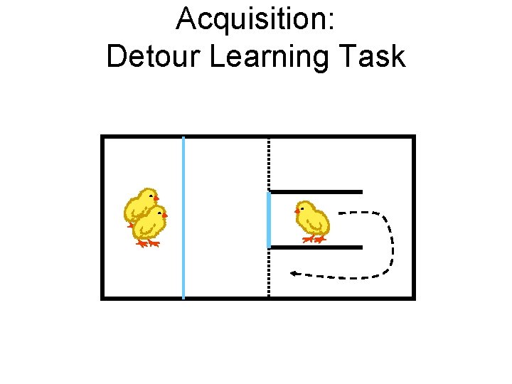 Acquisition: Detour Learning Task 