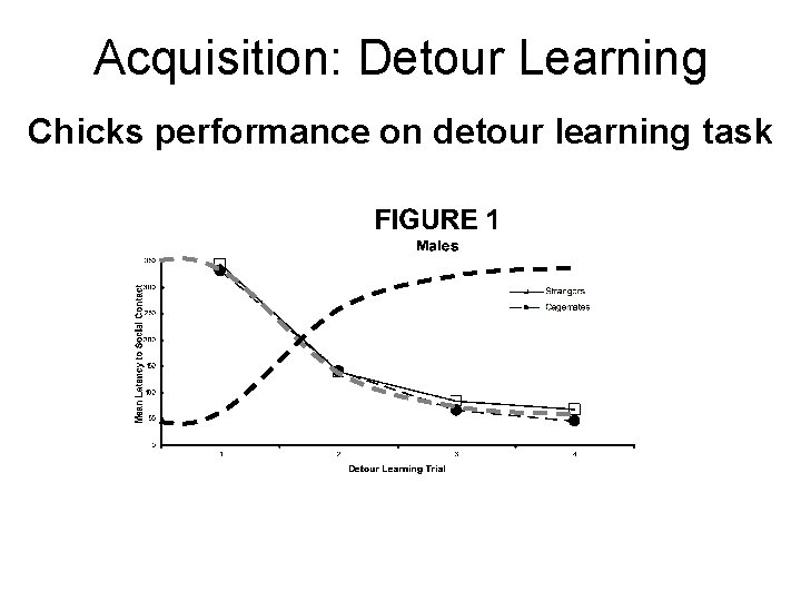 Acquisition: Detour Learning Chicks performance on detour learning task 