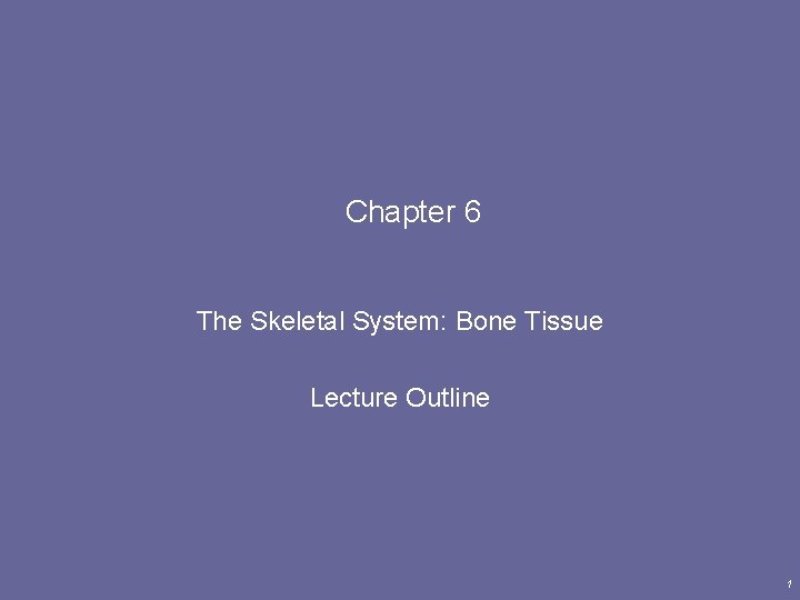 Chapter 6 The Skeletal System: Bone Tissue Lecture Outline 1 