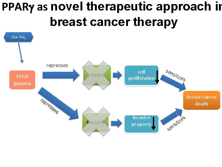 PPAR as novel therapeutic approach in breast cancer therapy 15 d- PGJ 2 represses