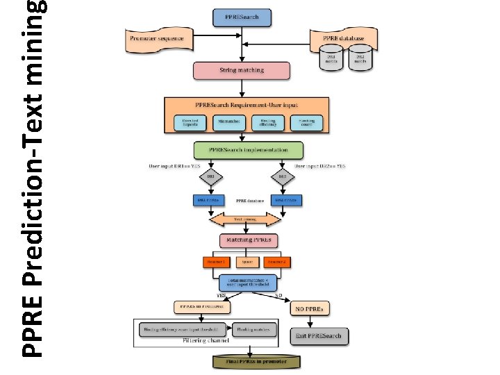 PPRE Prediction-Text minin 