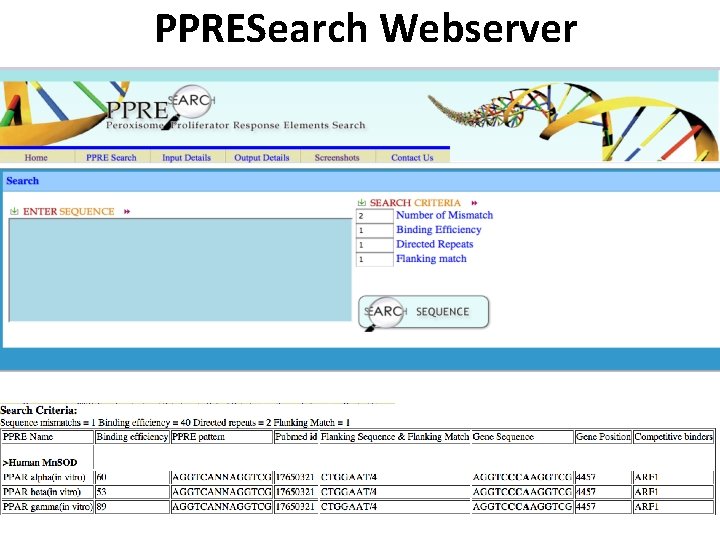 PPRESearch Webserver 