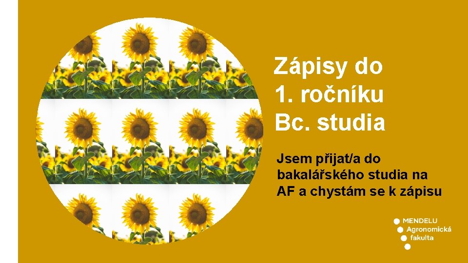 Zápisy do 1. ročníku Bc. studia Jsem přijat/a do bakalářského studia na AF a