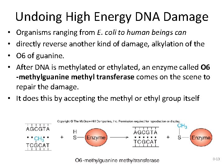 Undoing High Energy DNA Damage Organisms ranging from E. coli to human beings can