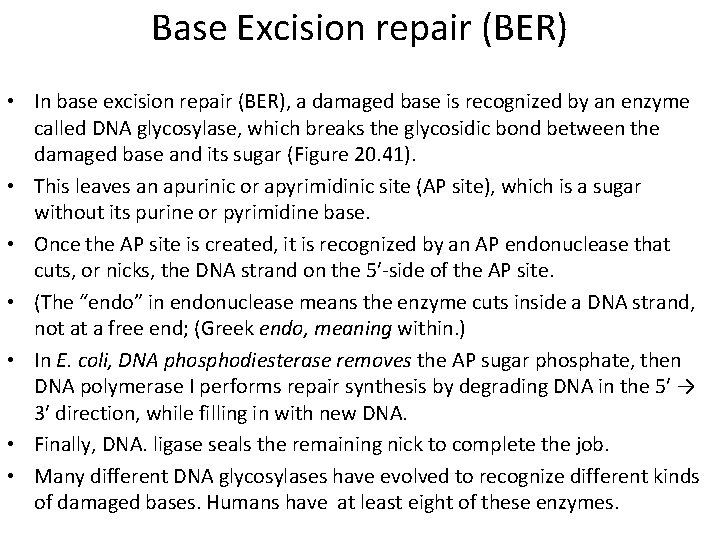 Base Excision repair (BER) • In base excision repair (BER), a damaged base is