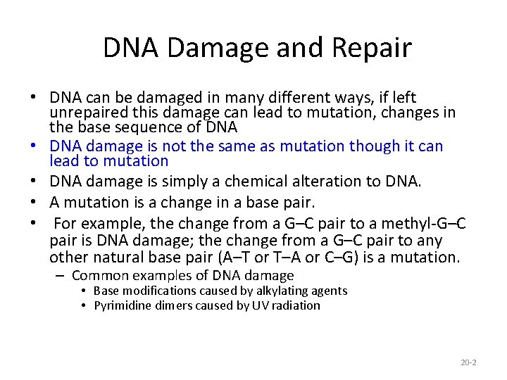  DNA Damage and Repair • DNA can be damaged in many different ways,